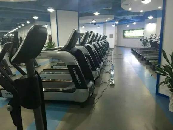 缪斯国际医疗美容_缪斯国际健身会所_缪斯国际健身