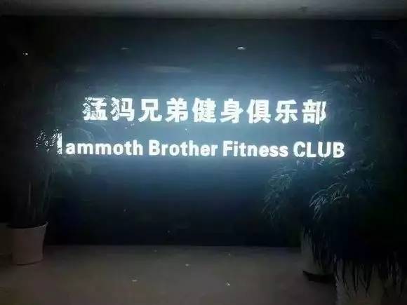 缪斯国际健身会所_缪斯国际医疗美容_缪斯国际健身